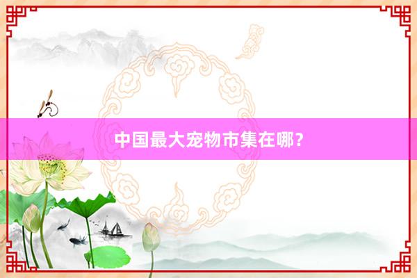 中国最大宠物市集在哪？