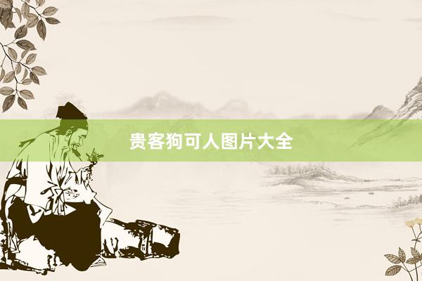 贵客狗可人图片大全