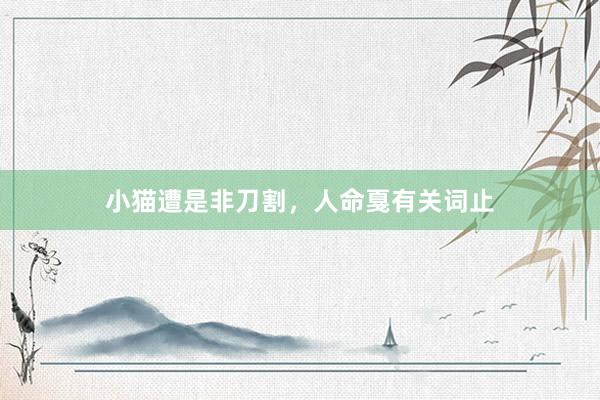小猫遭是非刀割,人命戛有关词止
