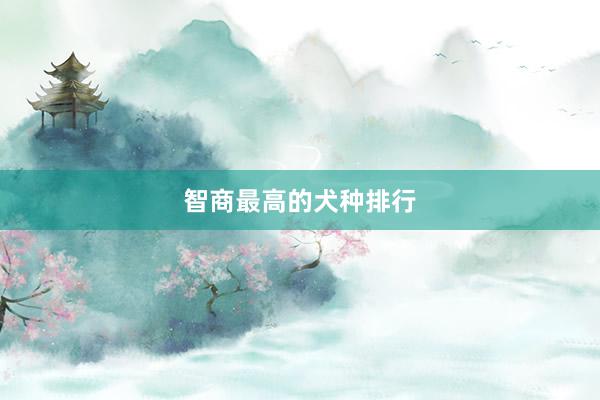 智商最高的犬种排行